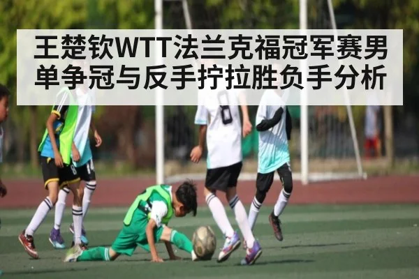 王楚钦WTT法兰克福冠军赛男单争冠与反手拧拉胜负手分析